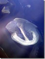 (c) 2004 Bertrand Le Roy