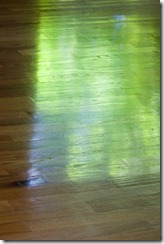 (c) Bertrand Le Roy 2010