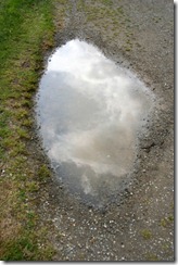 (c) Bertrand Le Roy 2005