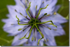 (c) Bertrand Le Roy 2008