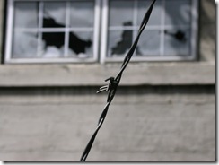 (c) Bertrand Le Roy 2004